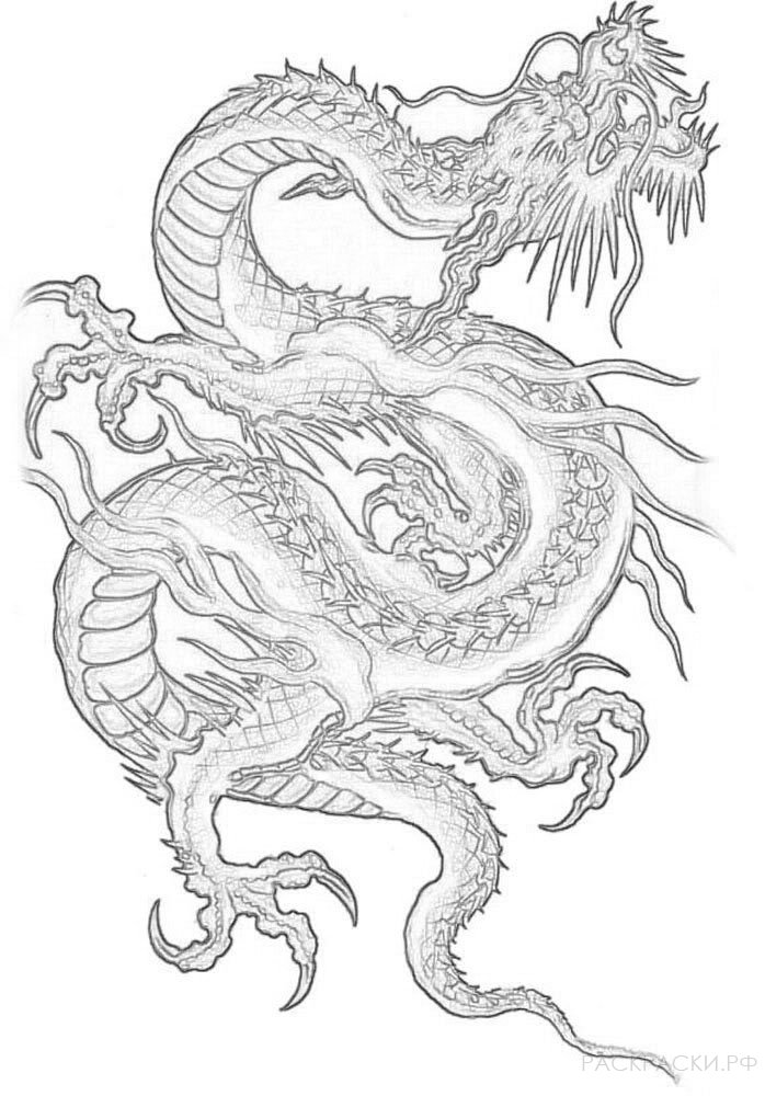 Раскраска Китайский Дракон 3 » Раскраски.рф - распечатать картинки раскраски  для детей бесплатно онлайн!